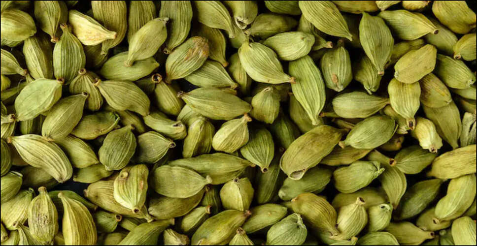 Health Benefits of Green Cardamom in the Morning