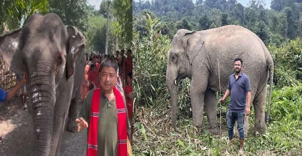 Challenges Faced by Traditional Elephant Keepers in Assam