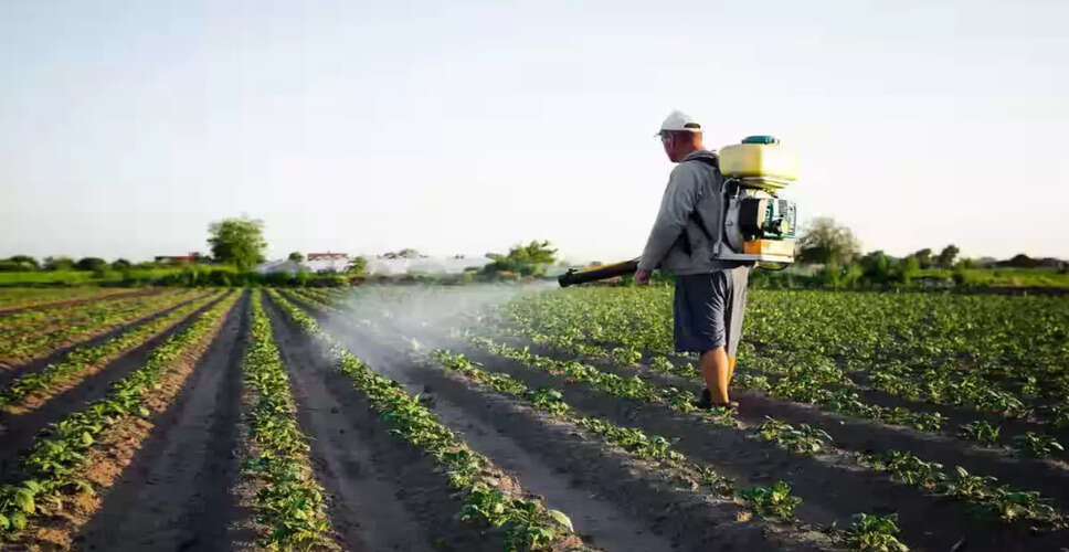 Black Market Urea Fertiliser Crisis Hits Himachal Farmers