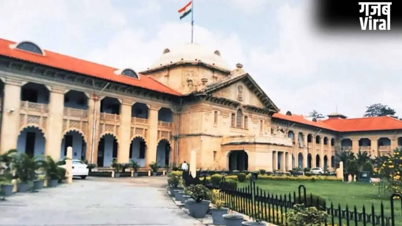 High Court Demands Action Against Chinese Manja in Uttar Pradesh