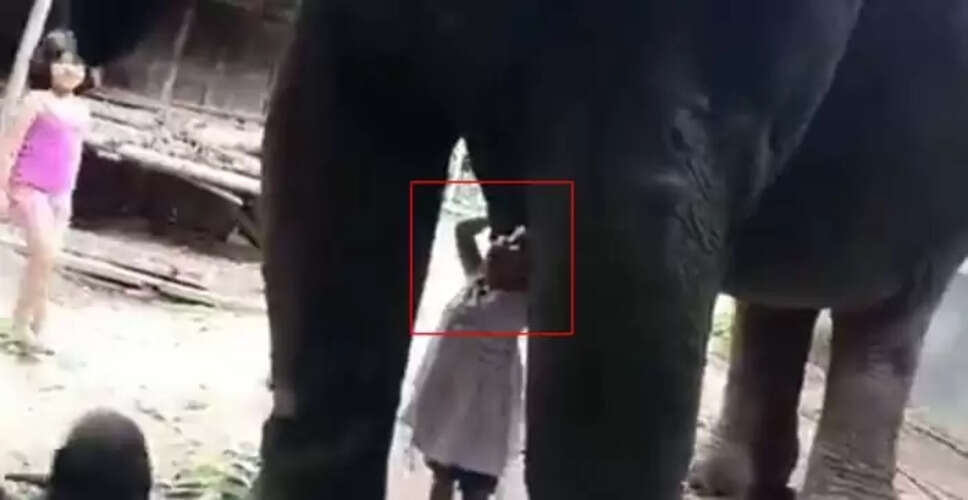 Little Girl Drinks Elephant Milk, Sparks Social Media Buzz