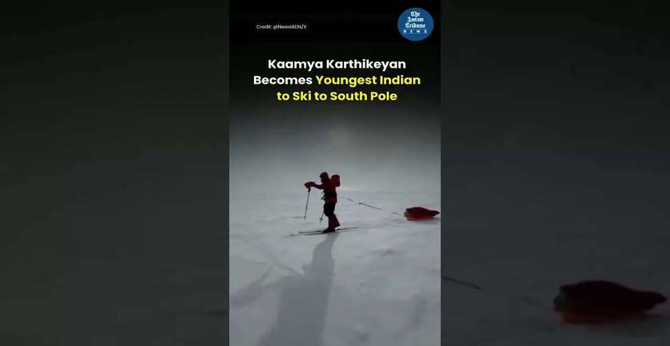 Captivating Visuals: A Glimpse into Engaging Content