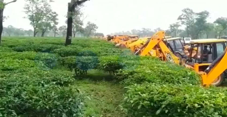 Public Hearing for Dolu Greenfield Airport Receives Overwhelming Support