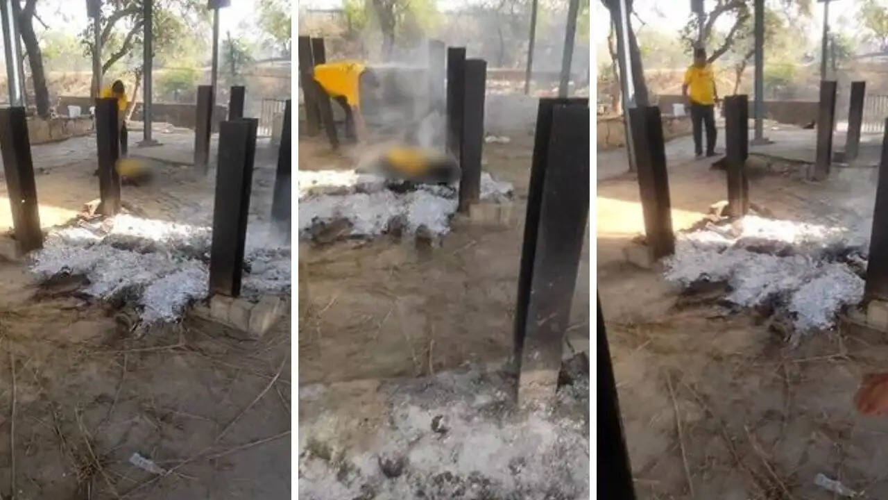 Shocking Incident in Jabalpur: Young Man Ends Life on Burning Pyre