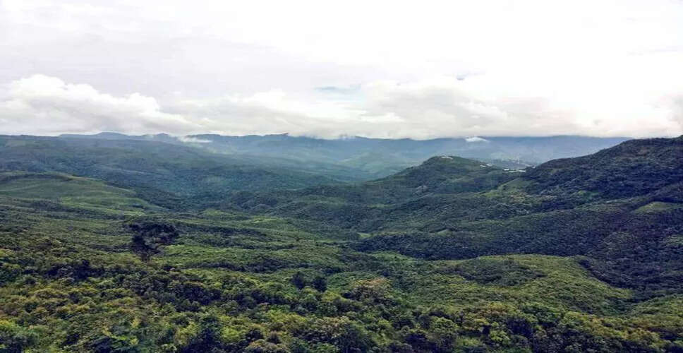 Seven Arrested in Mizoram After Death of Local Man