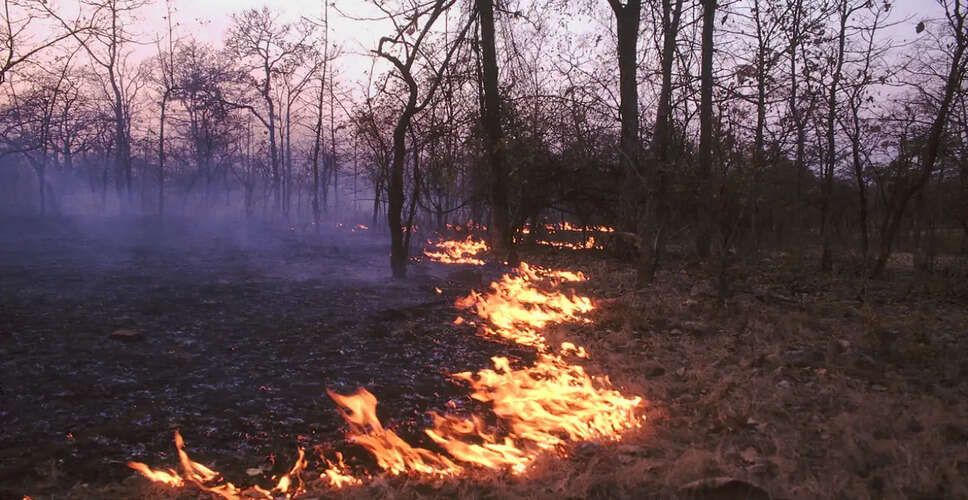 Brush Fire Near Ronald Reagan Library in Simi Valley