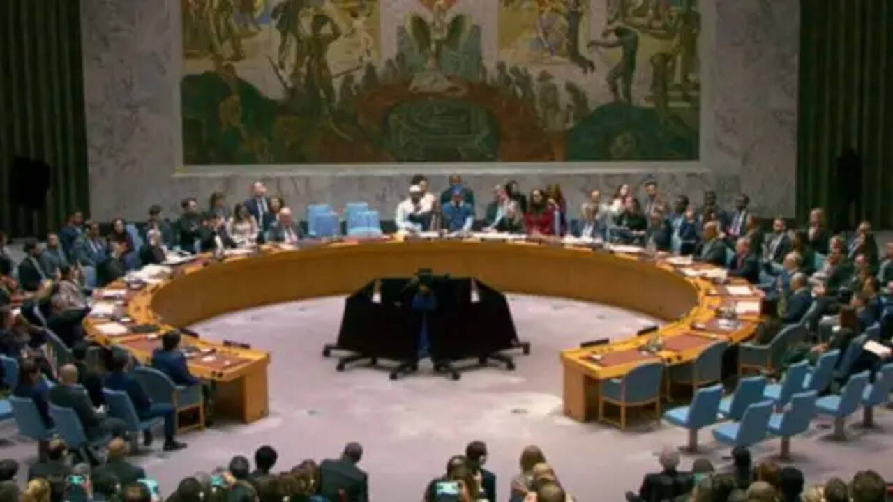 India Advocates for Unhindered Maritime Navigation at UNSC Meeting
