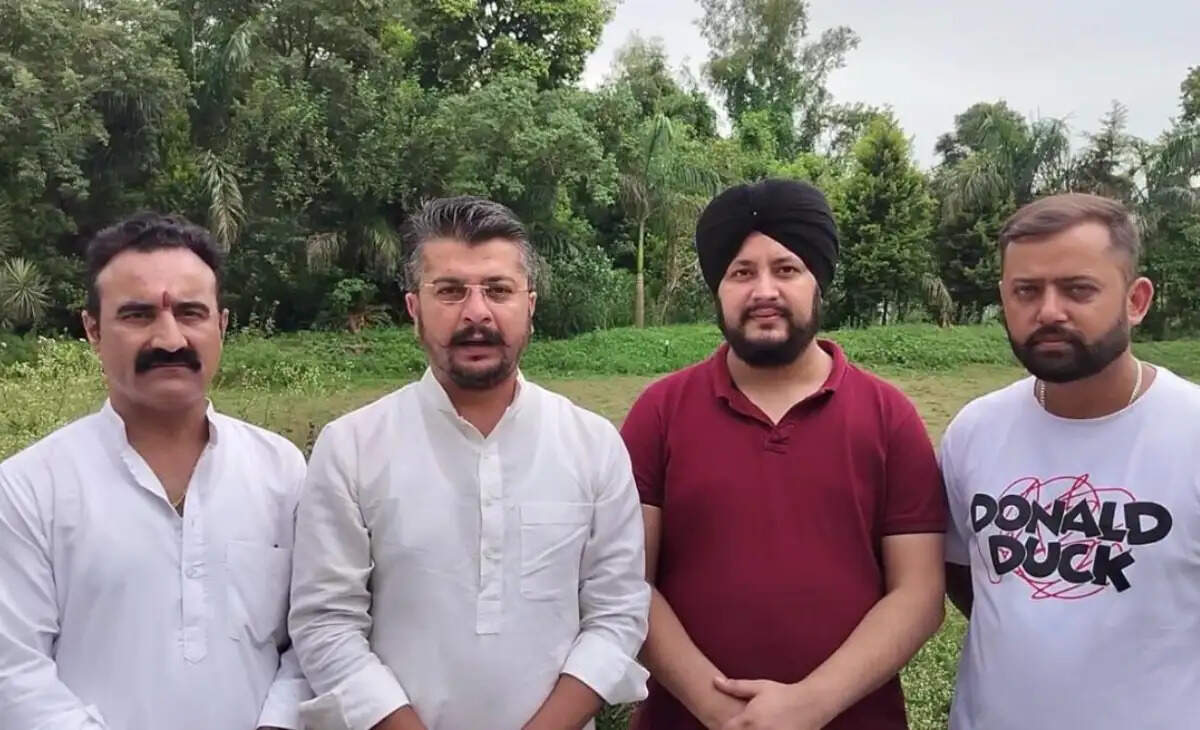 Manish Sareen Critiques AAP Leadership Over Raghav Chadha's Dismissal