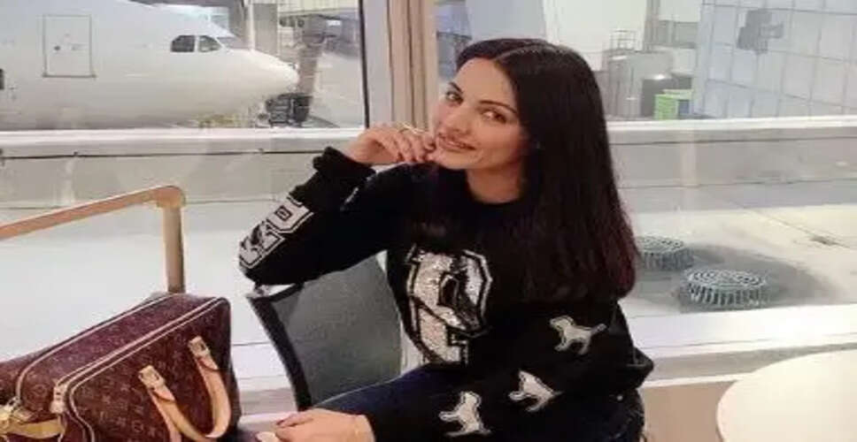 Delhi High Court Concludes Celina Jaitly's Petition Regarding Brother's Detention in UAE