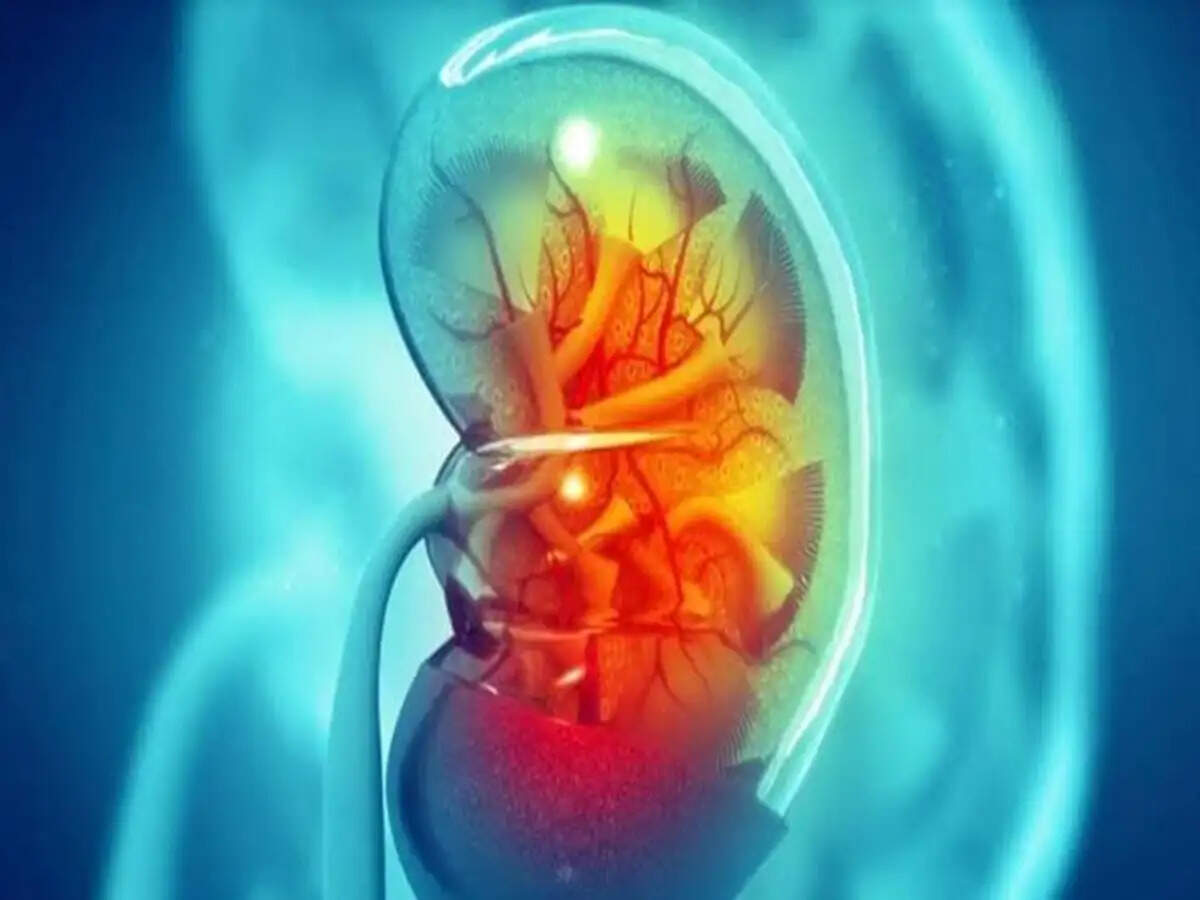 Stay Hydrated This Festive Season to Prevent Kidney Stones