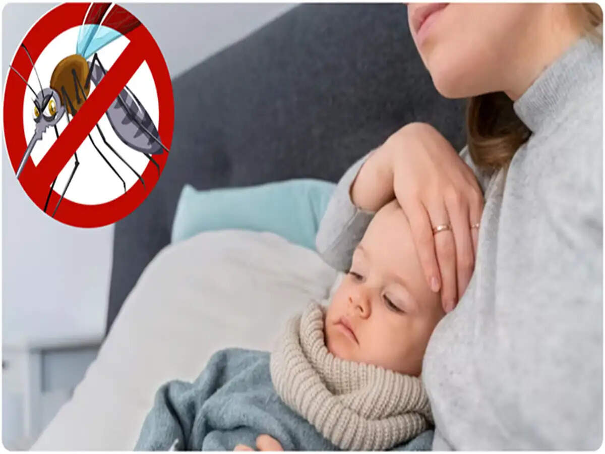 Understanding Dengue Fever: Risks and Precautions