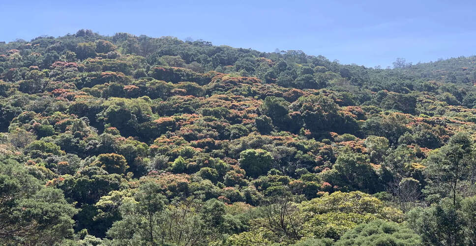 Tamil Nadu Expands Protected Forest Areas to Enhance Biodiversity