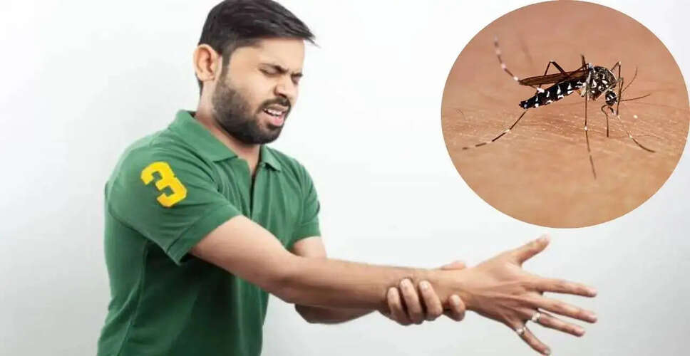 Understanding Chikungunya: The Overlooked Mosquito-Borne Illness