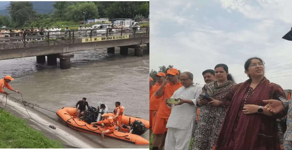 Tragic Drowning Incident in Mandi: Two Friends Lose Their Lives After Birthday Celebration