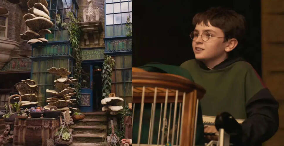 Behind the Scenes of the Harry Potter Reboot: A New Documentary