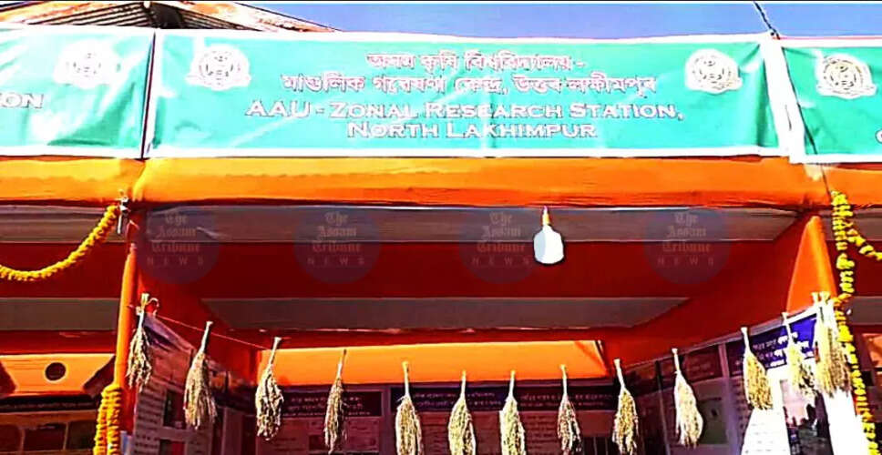 Assam's Bao Rice Gains Global Recognition with Successful Exports