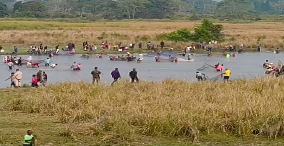 High Court Orders Action Against Illegal Fishing in Kaziranga National Park