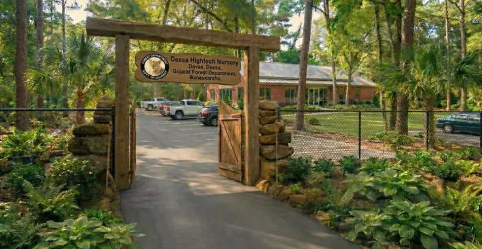 Gujarat to Launch Its First Advanced Nursery for Environmental Conservation