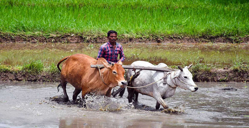 Farmers Applaud Modi's Decision to Protect Agricultural Interests Amid US Pressure