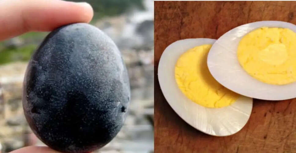 राजस्थान में युवक ने ऑर्गेनिक अंडों की खेती से कमाई की नई ऊंचाई