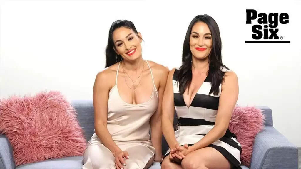 Nikki Bella's Success in WWE: Hard Work Over Looks, Says Bryan Danielson