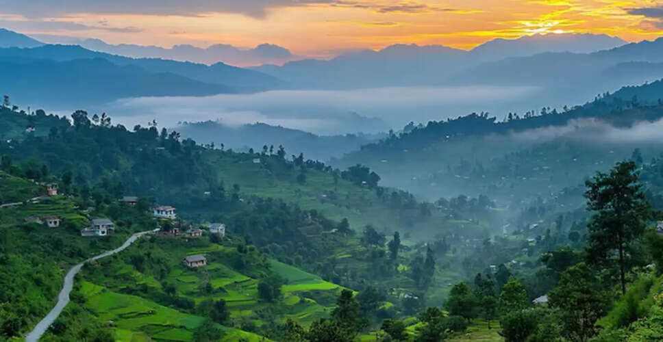 Budget-Friendly Travel Guide to Coorg: Explore the Beauty of Karnataka