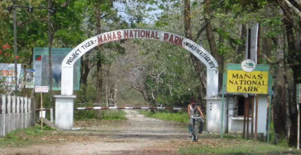 Assam's Manas National Park Launches Grass Nursery to Aid Ecosystem Restoration