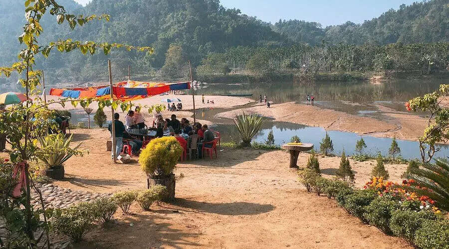 The Evolution of Picnics: From Traditional Gatherings to Resort Retreats