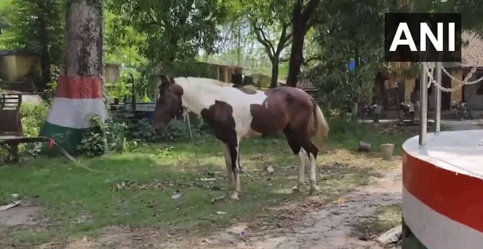 Innovative Smuggling Tactics in Bihar: Horses Used for Alcohol Transport