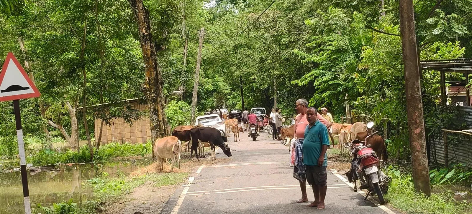 Severe Flooding in Jorhat: Residents Evacuated as Bhogdoi River Overflows