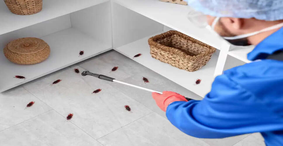 Natural Insect Repellent: Onion and Baking Soda Solution