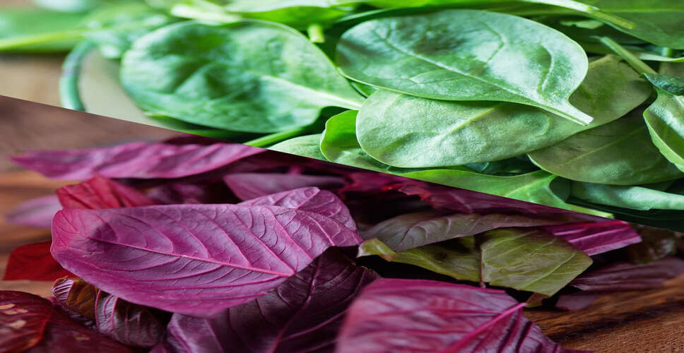 Recognizing Iron Deficiency: Key Signs and Dietary Solutions