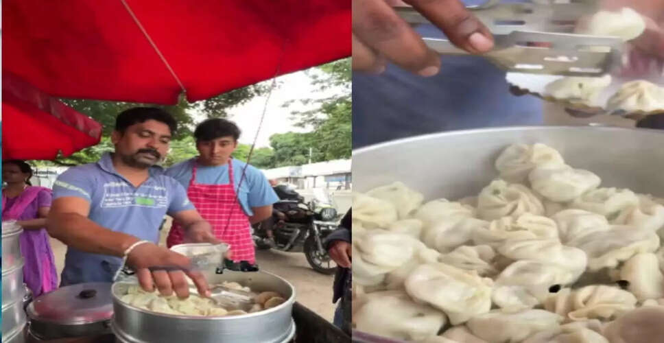 The Surprising Earnings of Street Food Vendors: A Deep Dive into the Momo Business