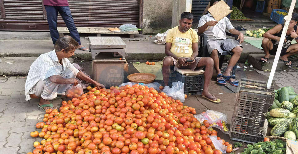 Tomato Farmers in Jorhat Face Severe Price Drop, Urgent Support Needed