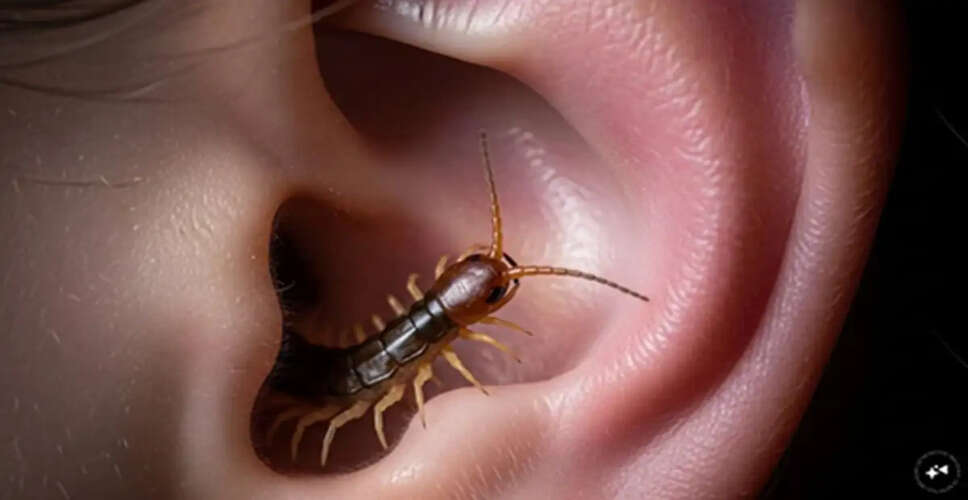 What to Do If a Centipede Enters Your Ear: Essential Steps
