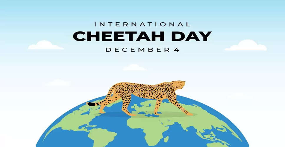 Celebrating International Cheetah Day: Conservation and Safari Opportunities in India