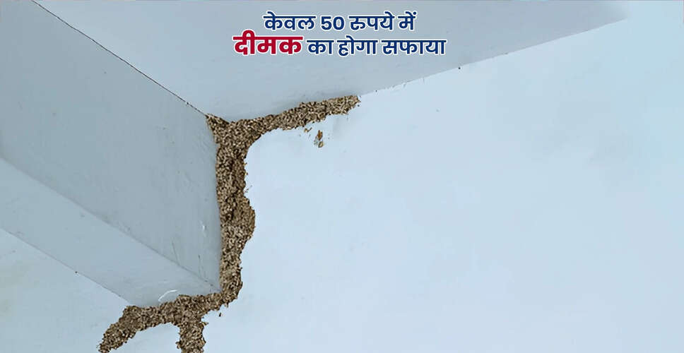 Effective Natural Remedies to Eliminate Termites from Your Home