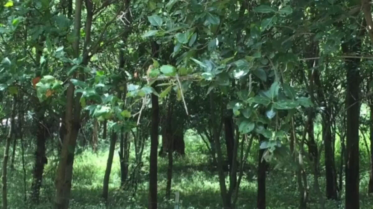 Karnataka Government Capitalizes on Sholay's Legacy with Ticket Sales for Film Site Tours