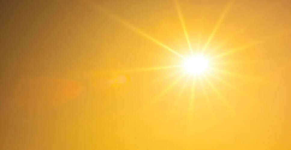 Health Risks Associated with Extreme Heat: Understanding the Impact on Vital Organs