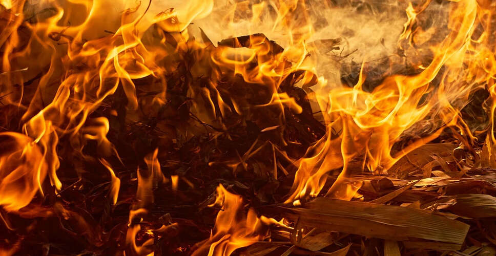 Tragic Fire in Hyderabad Claims 17 Lives, Including Four Children