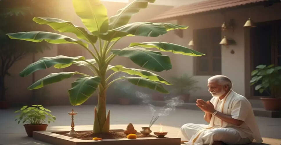 The Significance of the Banana Plant in Vastu Shastra