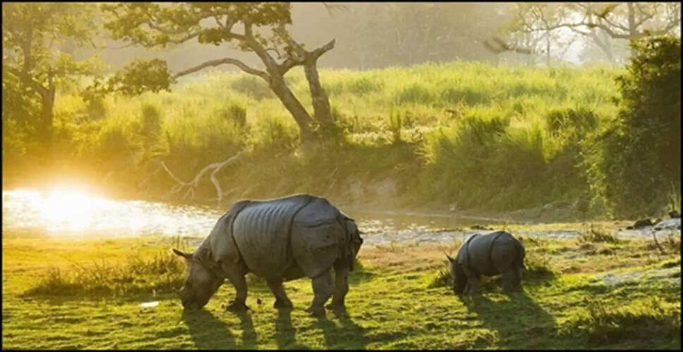 Discover the Hidden Gems of Assam: Top 5 Must-Visit Destinations