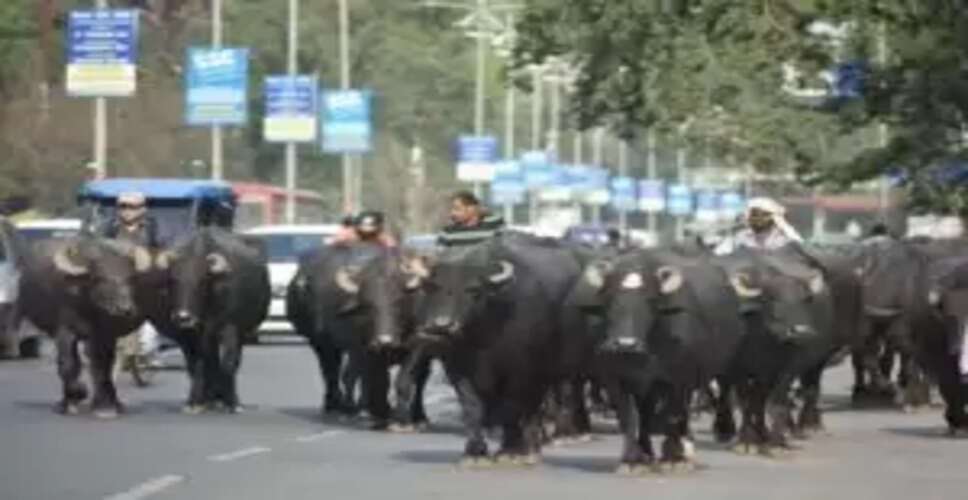 NHAI Unveils Innovative Real-Time Alerts for Stray Cattle on Highways