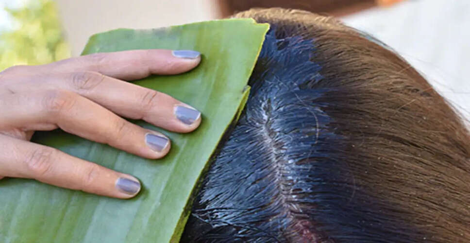 6 Effective Ways to Use Aloe Vera for Hair Care