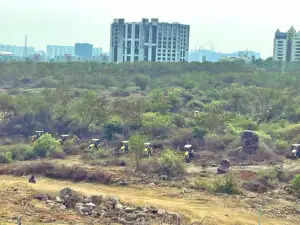 Supreme Court's Central Empowered Committee Investigates Tree Cutting Allegations Near Hyderabad University