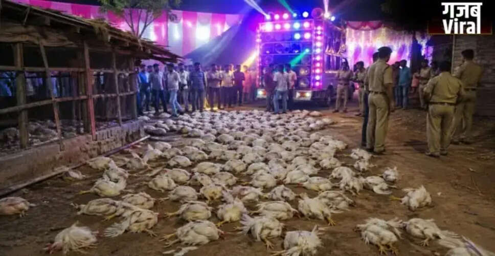 DJ's Loud Music Linked to Death of 140 Chickens in Sultanpur