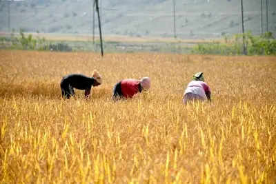 TN: 100 farmers to undergo training in Israel