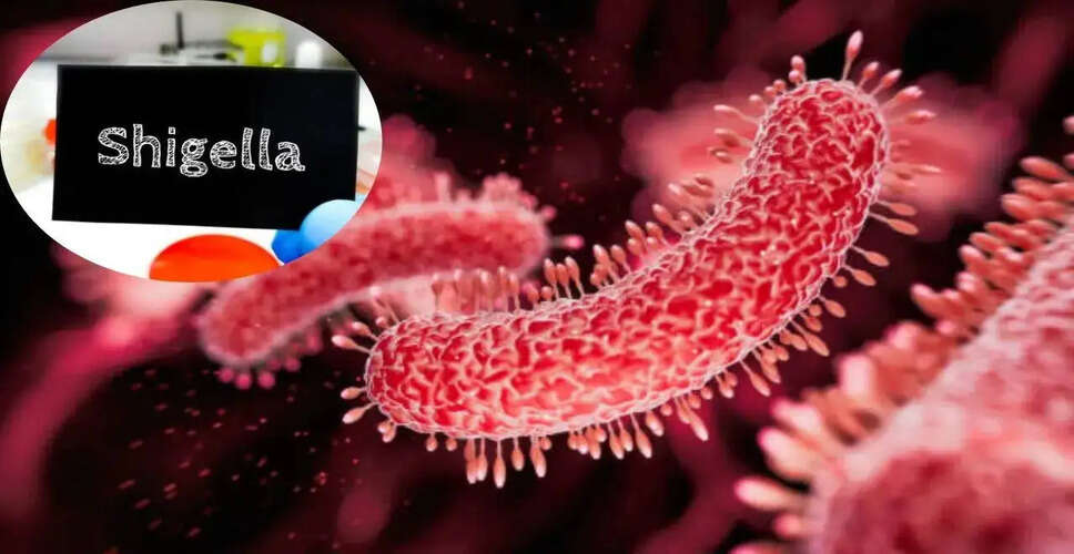 Rising Concerns Over Shigella Infections in Children Following Tragic Death in Kerala