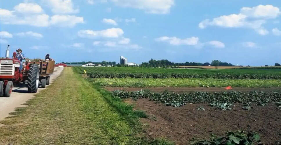 US Government Launches 'OnlyFarms' to Support Farmers Amid Rising Costs