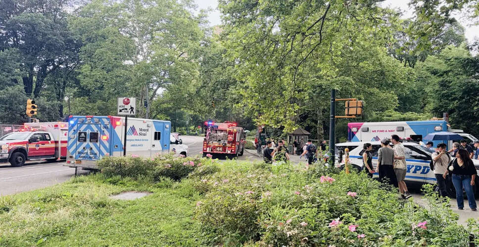 Tragic Incident in Central Park: Indian Tourist Dies After Horse Carriage Accident